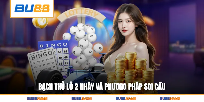 Bạch Thủ Lô 2 Nháy Và Phương Pháp Soi Cầu Hiệu Quả