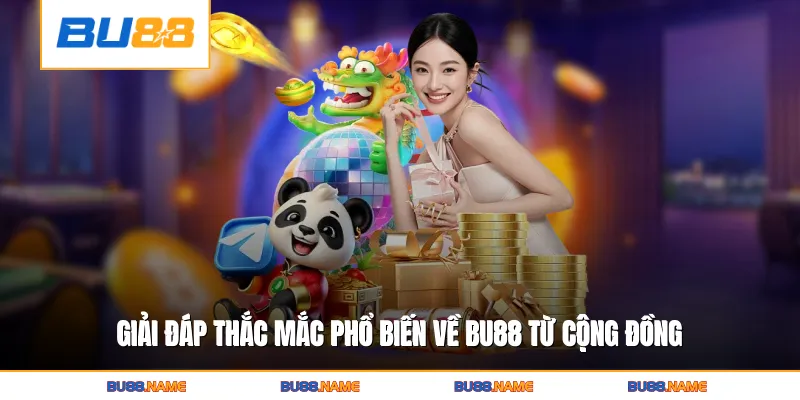 Giải đáp thắc mắc phổ biến về Bu88 từ cộng đồng