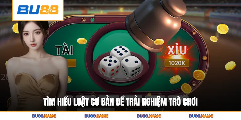 Tìm hiểu luật cơ bản để trải nghiệm trò chơi