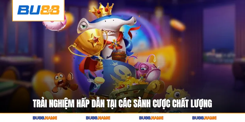 Trải nghiệm hấp dẫn tại các sảnh cược chất lượng