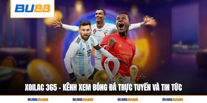 Xoilac 365 - Kênh Xem Bóng Đá Trực Tuyến Và Tin Tức Uy Tín